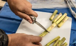 Leatherman Curl -Camping Soldes Boutique multi outil pince multifonction leatherman curl 03 1