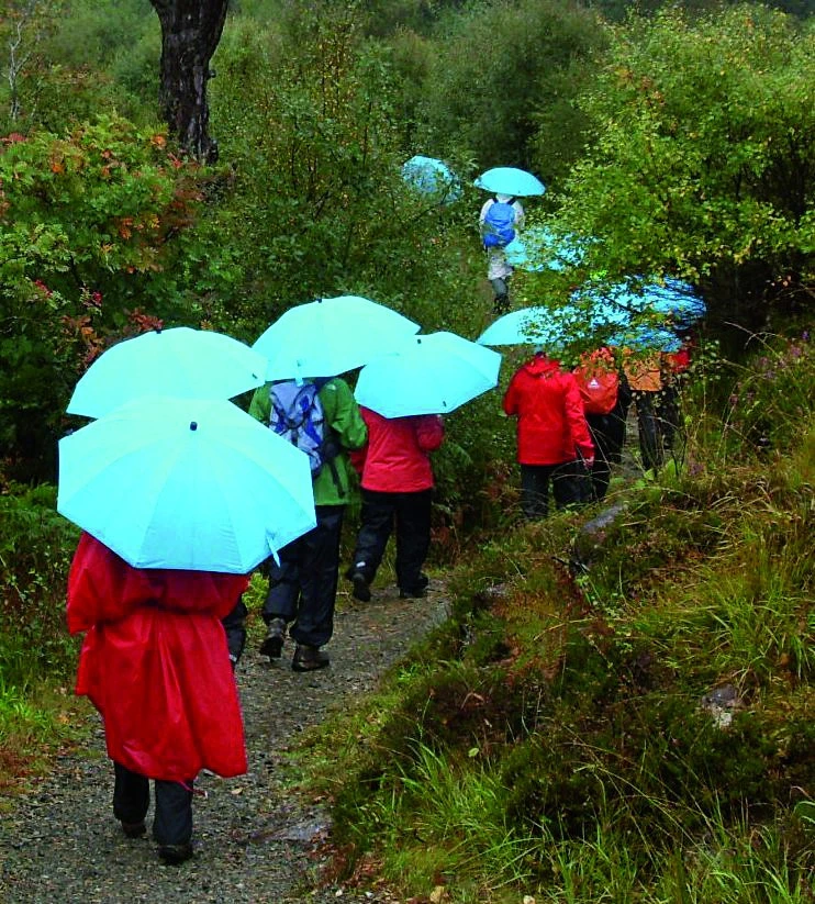 EuroSchirm Swing Liteflex EuroSchirm Swing Liteflex -Camping Soldes Boutique parapluie rando euro schirm swing lliteflex 20