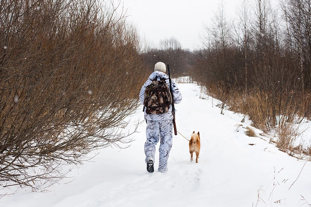 Crampons Nortec Alp Forest Crampons Nortec Alp Forest -Camping Soldes Boutique shutterstock 239245684