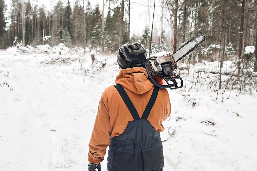 Crampons Nortec Alp Forest Crampons Nortec Alp Forest -Camping Soldes Boutique shutterstock 529993213