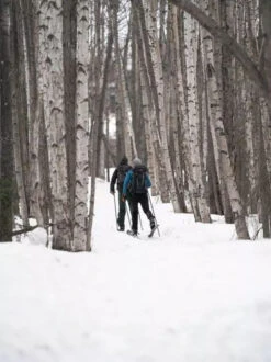 Madshus Panorama M68 (Epoch 68) 8 Madshus Panorama M68 (Epoch 68) -Camping Soldes Boutique skis madshus panorama m68 03