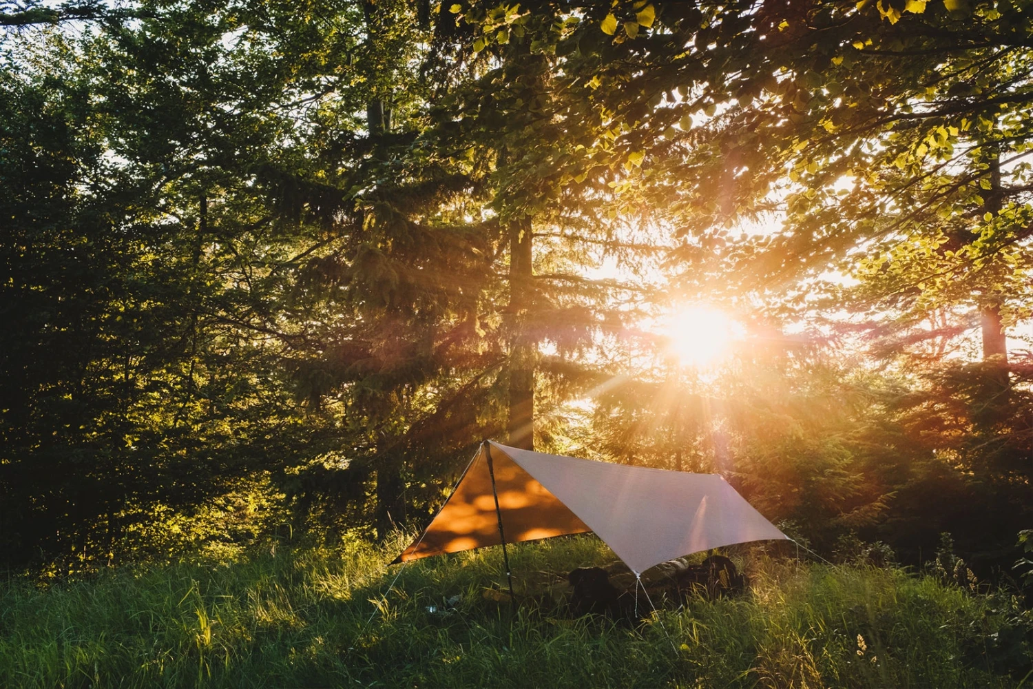 Lesovik Zmora Lesovik Zmora -Camping Soldes Boutique tarp lesovik zmora vert 07