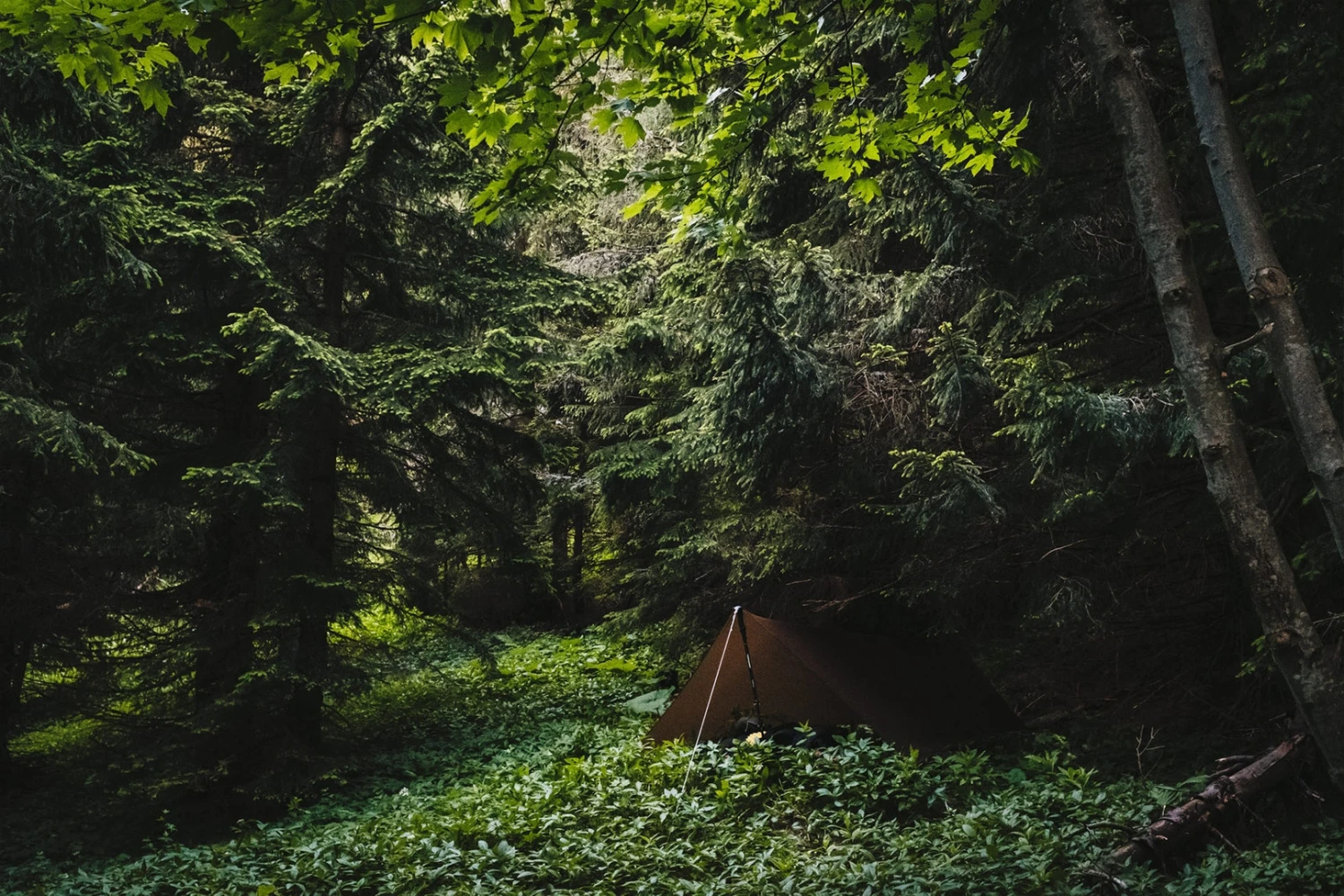 Lesovik Zmora Lesovik Zmora -Camping Soldes Boutique tarp lesovik zmora vert 08