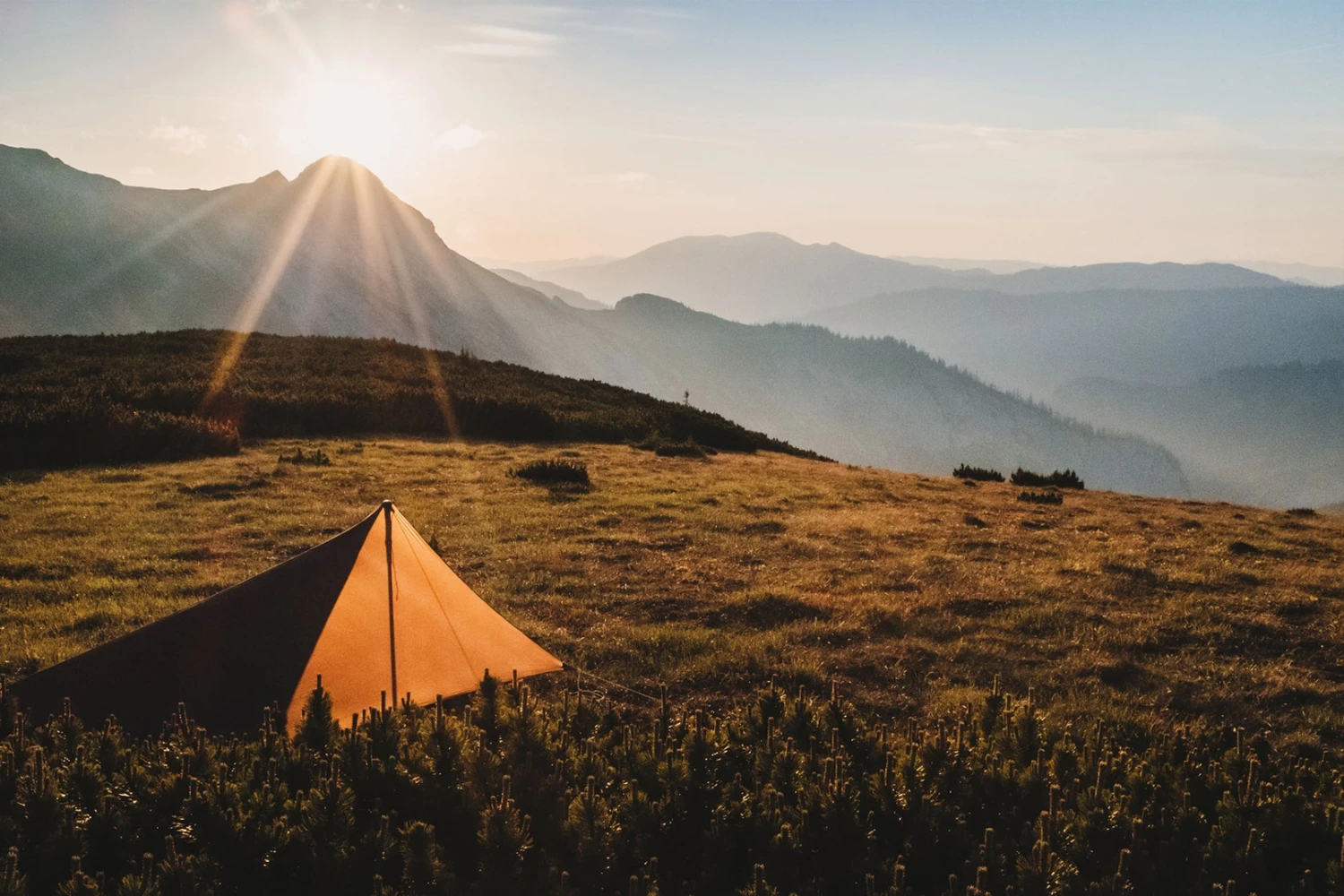 Lesovik Zmora Lesovik Zmora -Camping Soldes Boutique tarp lesovik zmora vert 10