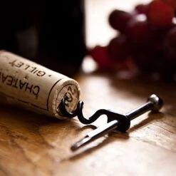 True Utility Twistick -Camping Soldes Boutique tire bouchon twistick true utility 06